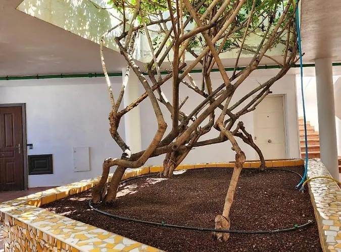 Apartmán Atlantic Mirage Island Village Costa Adeje (Tenerife)